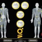 entranimiento con electroestimulación EMS Xbody Calp